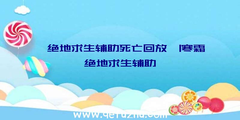 「绝地求生辅助死亡回放」|寒霜绝地求生辅助